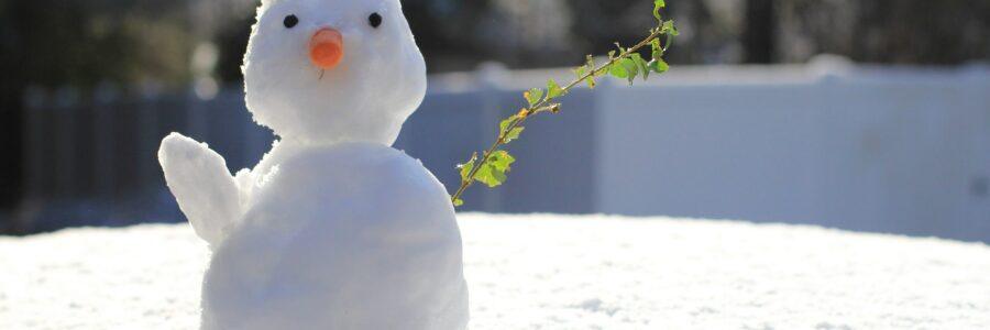 Snow-man