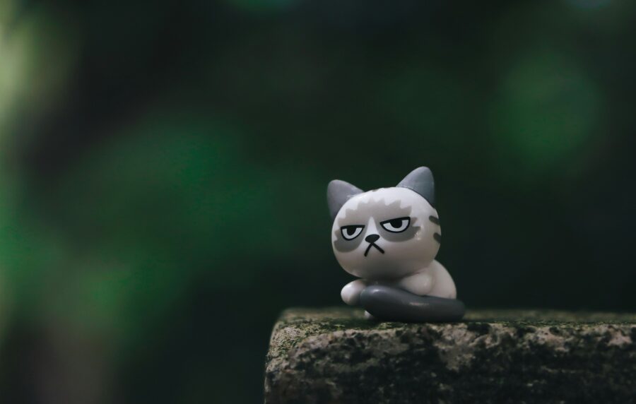 white cat figurine on brown rock