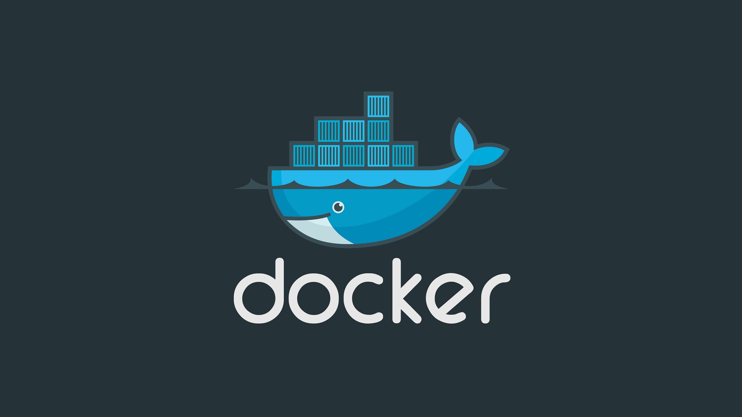 Portainer: problemi di connessione verso Docker Engine 29.0.0 2 Portainer: problemi di connessione verso Docker Engine 29.0.0