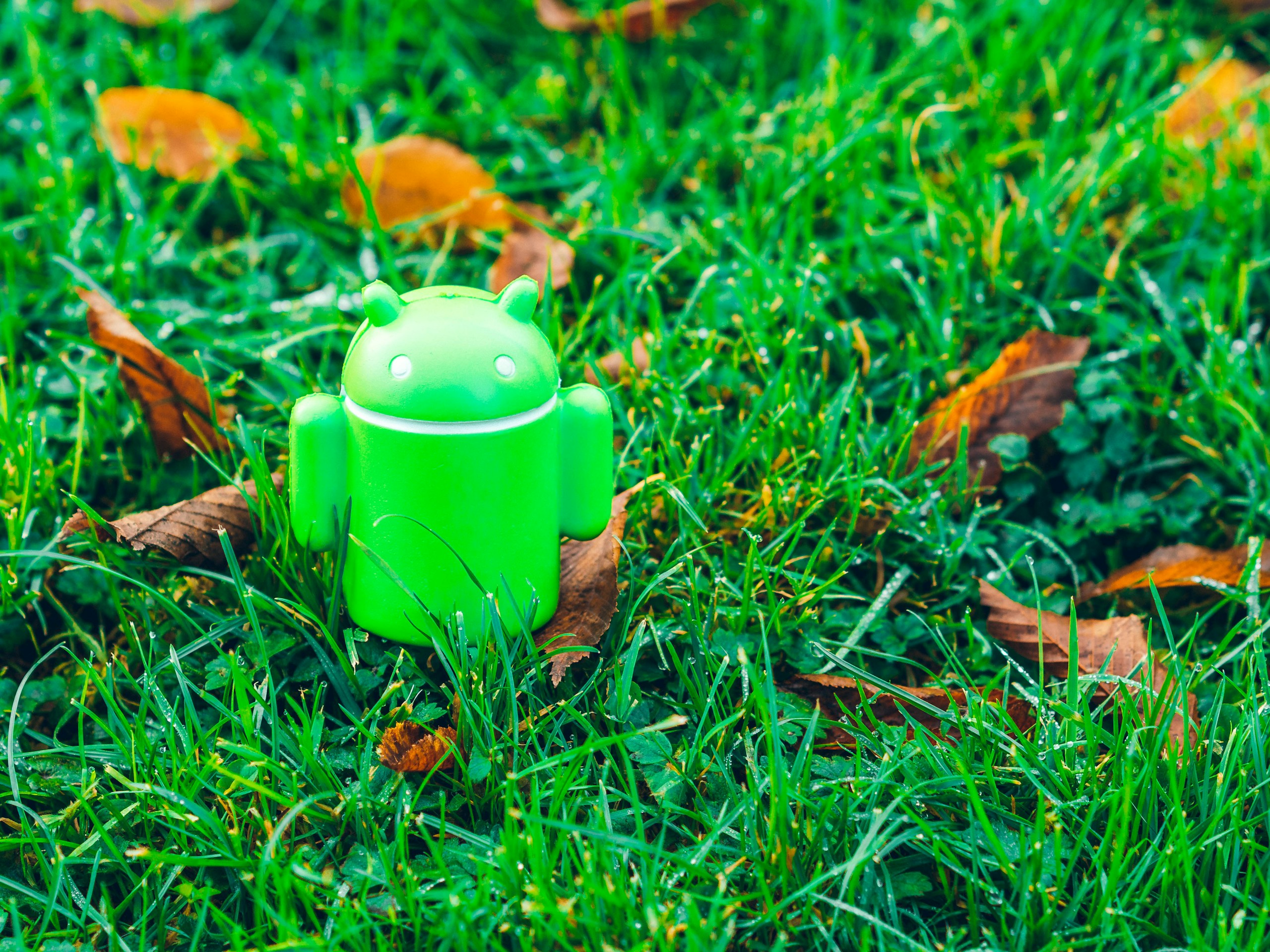 Backup di Android: Google cambia le regole, cosa c'è da sapere 3 Android in Grass