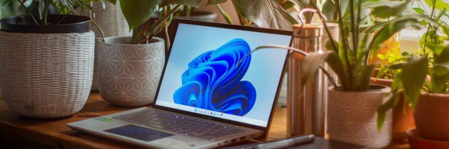 Forest Desk