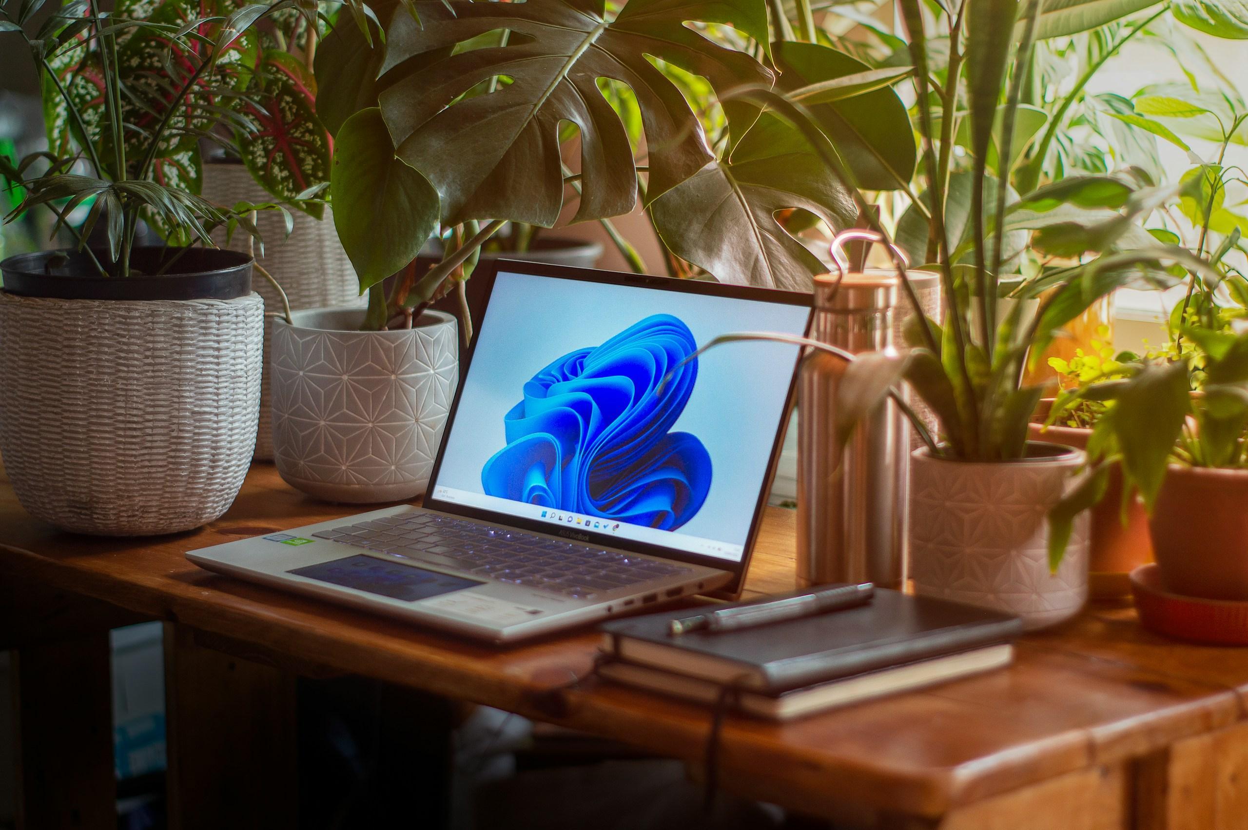 Forest Desk
