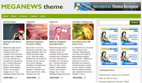 15 temi gratuiti per Wordpress 15
